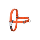 Hundsele Red Dingo 50-70 cm Orange M - Red Dingo | Valpoteket