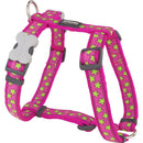 Hundsele Red Dingo STYLE STARS LIME ON HOT PINK 36-54 cm 30-48 cm - Red Dingo | Valpoteket