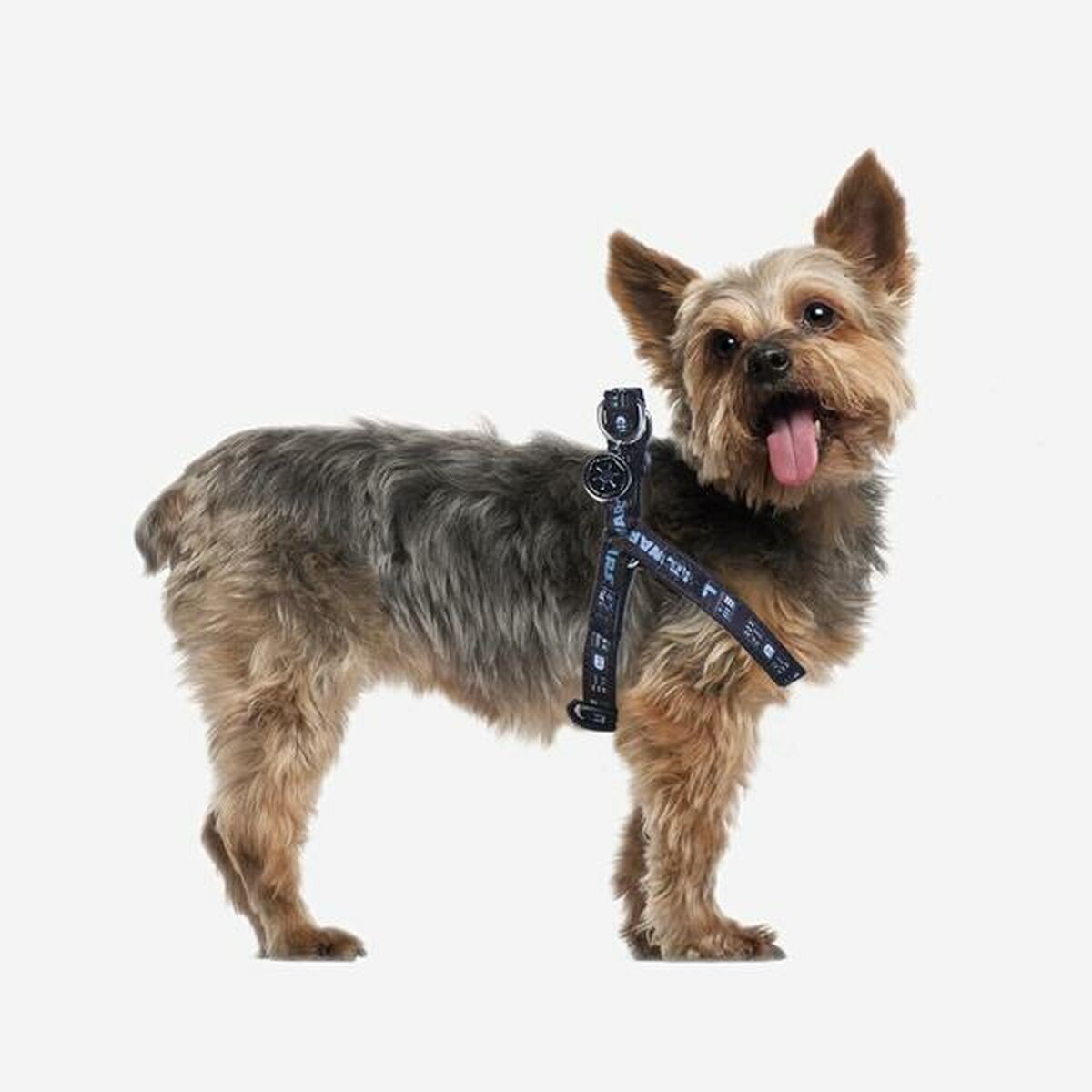 Hundsele Star Wars Svart XS/S - Star Wars | Valpoteket