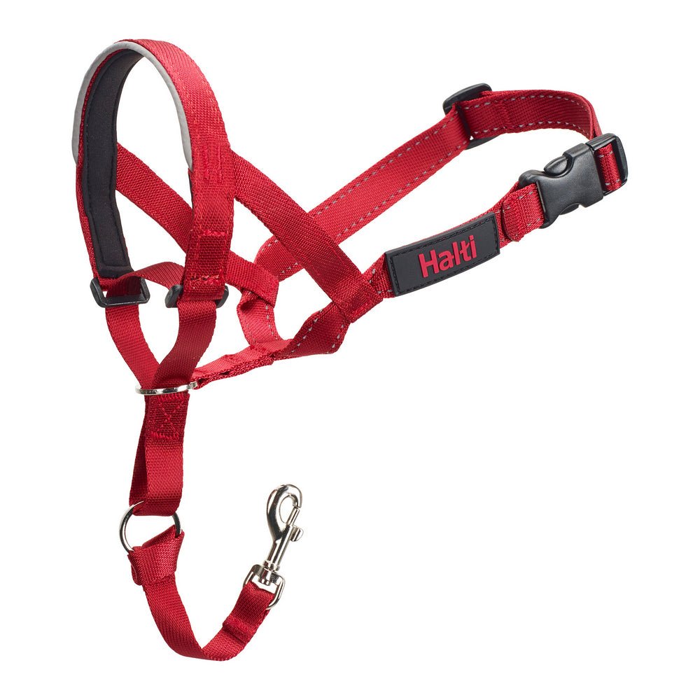 Nose halter dog Halti red (35-48 cm) | Anti-pull in leash