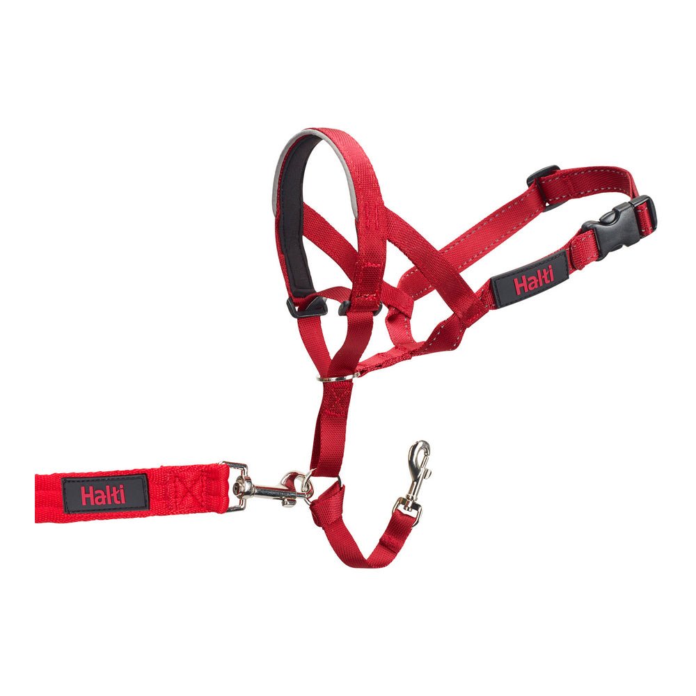 Nose halter dog Halti red (46-62 cm) | Anti-pull in leash