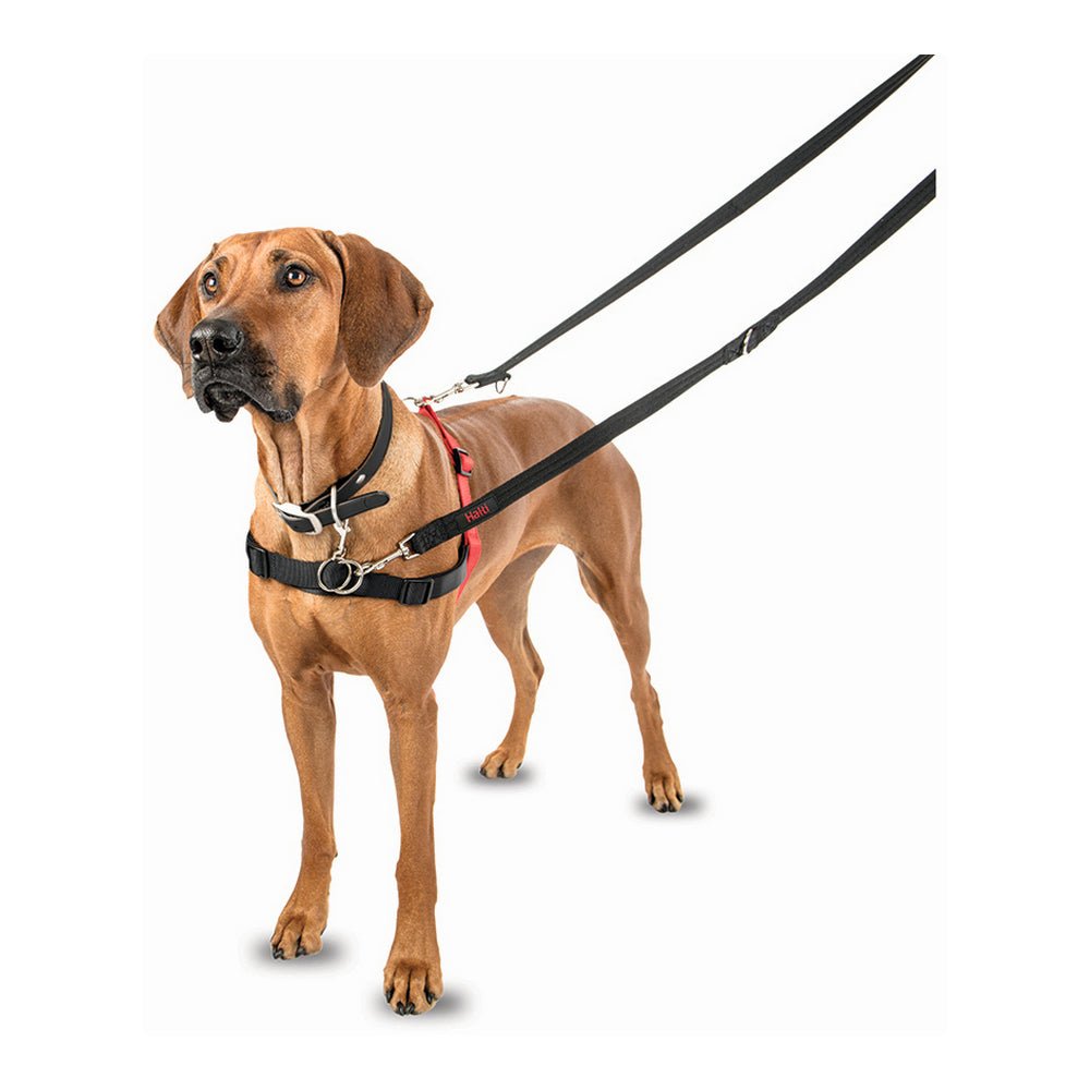 Training harness dog Halti black/red, S