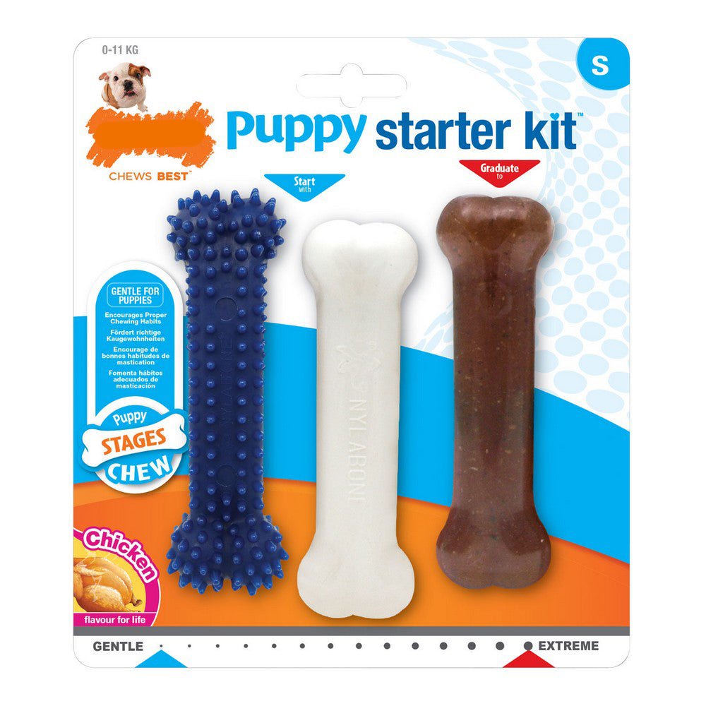 Chew toy for puppies | Promote healthy teeth